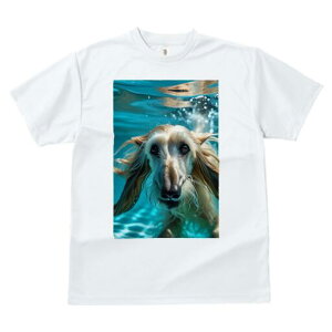 AtKnEh TVc fB[X t@  t  vg JWA 킢 lԗp h ̃fUC ʔ  AtKnEh 