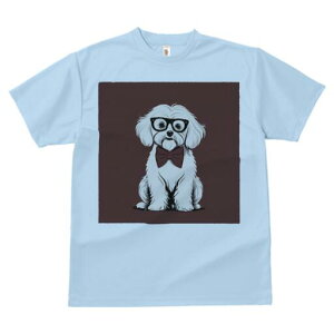 }`[Y TVc fB[X t@  t  vg JWA 킢 lԗp h ̃fUC ʔ Kl }`[Y lN^C