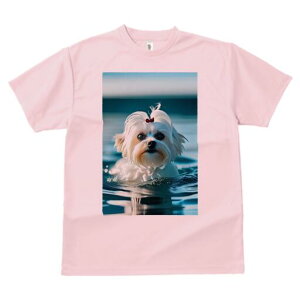 }`[Y TVc fB[X t@  t  vg JWA 킢 lԗp h ̃fUC ʔ  }`[Y C