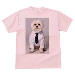 }`[Y TVc fB[X t@  t  vg JWA 킢 lԗp h ̃fUC ʔ CVc }`[Y lN^C