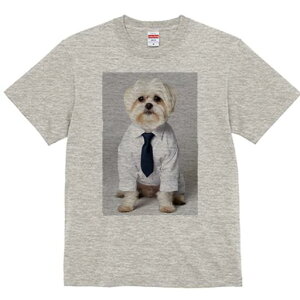 }`[Y TVc fB[X t@  t  vg JWA 킢 lԗp h ̃fUC ʔ CVc }`[Y lN^C