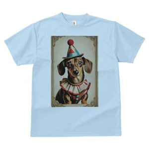 _bNXth TVc fB[X t@  t  vg JWA 킢 lԗp h ̃fUC ʔ T[JX _bNXth sG Xq ߑ