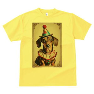 _bNXth TVc fB[X t@  t  vg JWA 킢 lԗp h ̃fUC ʔ T[JX _bNXth sG Xq ߑ