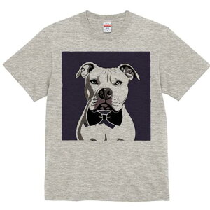 AJsbgueA TVc fB[X t@  t  vg JWA 킢 lԗp h ̃fUC ʔ lN^C AJsbgueA