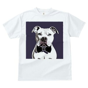 AJsbgueA TVc fB[X t@  t  vg JWA 킢 lԗp h ̃fUC ʔ lN^C AJsbgueA