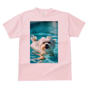 }`[Y TVc fB[X t@  t  vg JWA 킢 lԗp h ̃fUC ʔ  }`[Y v[