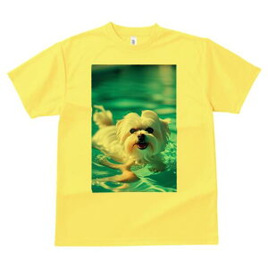 }`[Y TVc fB[X t@  t  vg JWA 킢 lԗp h ̃fUC ʔ  }`[Y v[