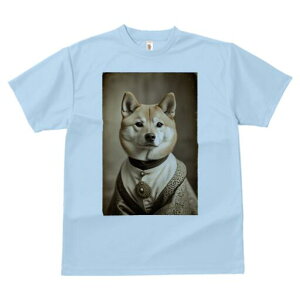 Č TVc fB[X t@  t  vg JWA 킢 lԗp h ̃fUC ʔ ё Č  ߑ u[`