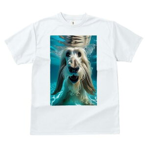 AtKnEh TVc fB[X t@  t  vg JWA 킢 lԗp h ̃fUC ʔ  AtKnEh 