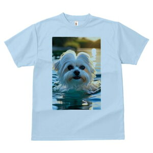 }`[Y TVc fB[X t@  t  vg JWA 킢 lԗp h ̃fUC ʔ  }`[Y   