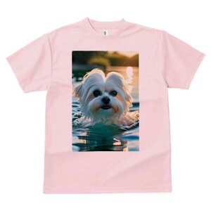 }`[Y TVc fB[X t@  t  vg JWA 킢 lԗp h ̃fUC ʔ  }`[Y   