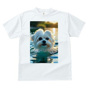 }`[Y TVc fB[X t@  t  vg JWA 킢 lԗp h ̃fUC ʔ  }`[Y   