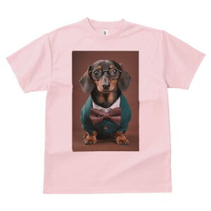 _bNXth TVc fB[X t@  t  vg JWA 킢 lԗp h ̃fUC ʔ Kl _bNXth lN^C Vc