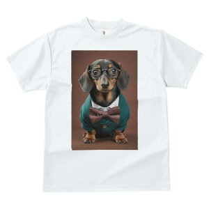 _bNXth TVc fB[X t@  t  vg JWA 킢 lԗp h ̃fUC ʔ Kl _bNXth lN^C Vc