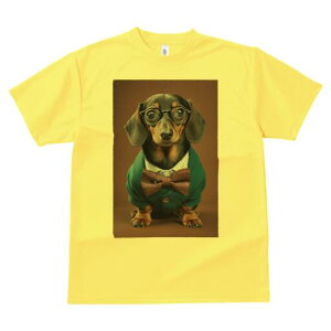 _bNXth TVc fB[X t@  t  vg JWA 킢 lԗp h ̃fUC ʔ Kl _bNXth lN^C Vc