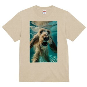 AtKnEh TVc fB[X t@  t  vg JWA 킢 lԗp h ̃fUC ʔ  AtKnEh 