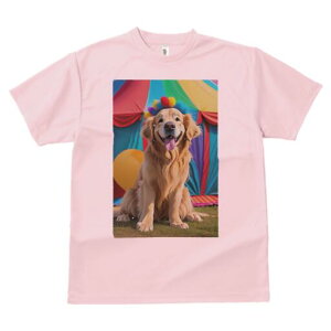 S[fgo[ TVc fB[X t@  t  vg JWA 킢 lԗp h ̃fUC ʔ T[JX S[fgo[ eg D J