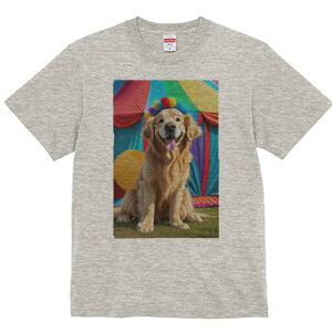 S[fgo[ TVc fB[X t@  t  vg JWA 킢 lԗp h ̃fUC ʔ T[JX S[fgo[ eg D J