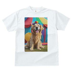 S[fgo[ TVc fB[X t@  t  vg JWA 킢 lԗp h ̃fUC ʔ T[JX S[fgo[ eg D J