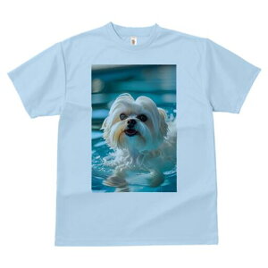 }`[Y TVc fB[X t@  t  vg JWA 킢 lԗp h ̃fUC ʔ  }`[Y v[