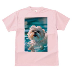 }`[Y TVc fB[X t@  t  vg JWA 킢 lԗp h ̃fUC ʔ  }`[Y v[