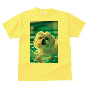 }`[Y TVc fB[X t@  t  vg JWA 킢 lԗp h ̃fUC ʔ  }`[Y v[