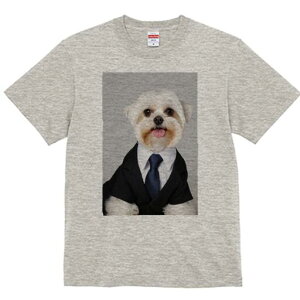 }`[Y TVc fB[X t@  t  vg JWA 킢 lԗp h ̃fUC ʔ X[c }`[Y lN^C rWlX