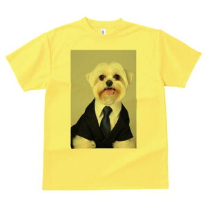 }`[Y TVc fB[X t@  t  vg JWA 킢 lԗp h ̃fUC ʔ X[c }`[Y lN^C rWlX