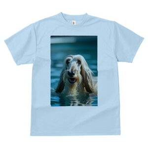 AtKnEh TVc fB[X t@  t  vg JWA 킢 lԗp h ̃fUC ʔ  AtKnEh v[