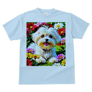 }`[Y TVc fB[X t@  t  vg JWA 킢 lԗp h ̃fUC ʔ  }`[Y 