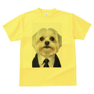 }`[Y TVc fB[X t@  t  vg JWA 킢 lԗp h ̃fUC ʔ X[c }`[Y lN^C rWlX