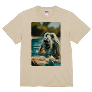 AtKnEh TVc fB[X t@  t  vg JWA 킢 lԗp h ̃fUC ʔ  AtKnEh v[