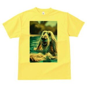 AtKnEh TVc fB[X t@  t  vg JWA 킢 lԗp h ̃fUC ʔ  AtKnEh v[