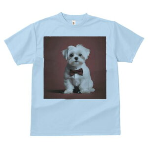 }`[Y TVc fB[X t@  t  vg JWA 킢 lԗp h ̃fUC ʔ lN^C }`[Y Vc