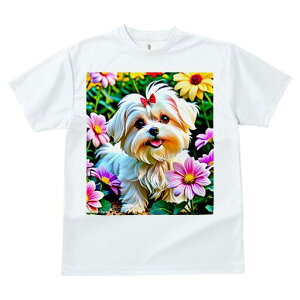 }`[Y TVc fB[X t@  t  vg JWA 킢 lԗp h ̃fUC ʔ  }`[Y Ԃ{