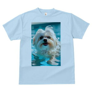 }`[Y TVc fB[X t@  t  vg JWA 킢 lԗp h ̃fUC ʔ  }`[Y v[