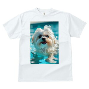 }`[Y TVc fB[X t@  t  vg JWA 킢 lԗp h ̃fUC ʔ  }`[Y v[