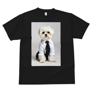 }`[Y TVc fB[X t@  t  vg JWA 킢 lԗp h ̃fUC ʔ Vc }`[Y lN^C