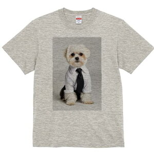 }`[Y TVc fB[X t@  t  vg JWA 킢 lԗp h ̃fUC ʔ Vc }`[Y lN^C