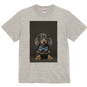 _bNXth TVc fB[X t@  t  vg JWA 킢 lԗp h ̃fUC ʔ lN^C _bNXth ዾ