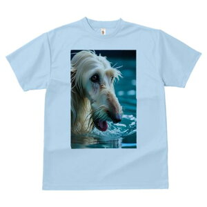 AtKnEh TVc fB[X t@  t  vg JWA 킢 lԗp h ̃fUC ʔ  AtKnEh v[