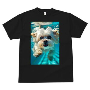 }`[Y TVc fB[X t@  t  vg JWA 킢 lԗp h ̃fUC ʔ  }`[Y v[