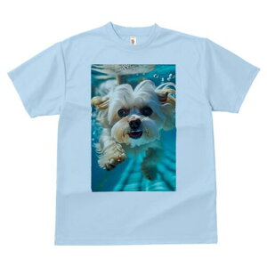 }`[Y TVc fB[X t@  t  vg JWA 킢 lԗp h ̃fUC ʔ  }`[Y v[