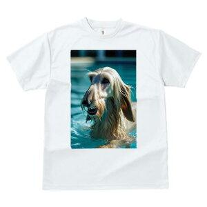 AtKnEh TVc fB[X t@  t  vg JWA 킢 lԗp h ̃fUC ʔ  AtKnEh