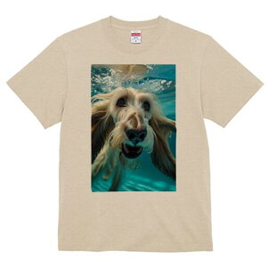 AtKnEh TVc fB[X t@  t  vg JWA 킢 lԗp h ̃fUC ʔ  AtKnEh 