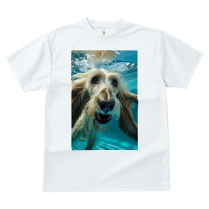 AtKnEh TVc fB[X t@  t  vg JWA 킢 lԗp h ̃fUC ʔ  AtKnEh 