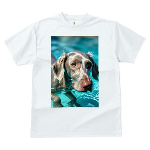 C}i[ TVc fB[X t@  t  vg JWA 킢 lԗp h ̃fUC ʔ  C}i[ v[