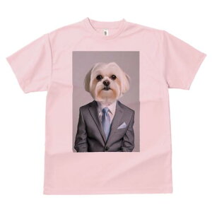 }`[Y TVc fB[X t@  t  vg JWA 킢 lԗp h ̃fUC ʔ X[c }`[Y lN^C |Pbg`[t