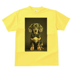 _bNXth TVc Y LbY t@  t  vg JWA 킢 lԗp h ̃fUC ʔ Kl _bNXth lN^C