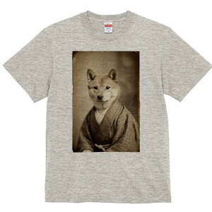 Č TVc fB[X t@  t  vg JWA 킢 lԗp h ̃fUC ʔ  Č